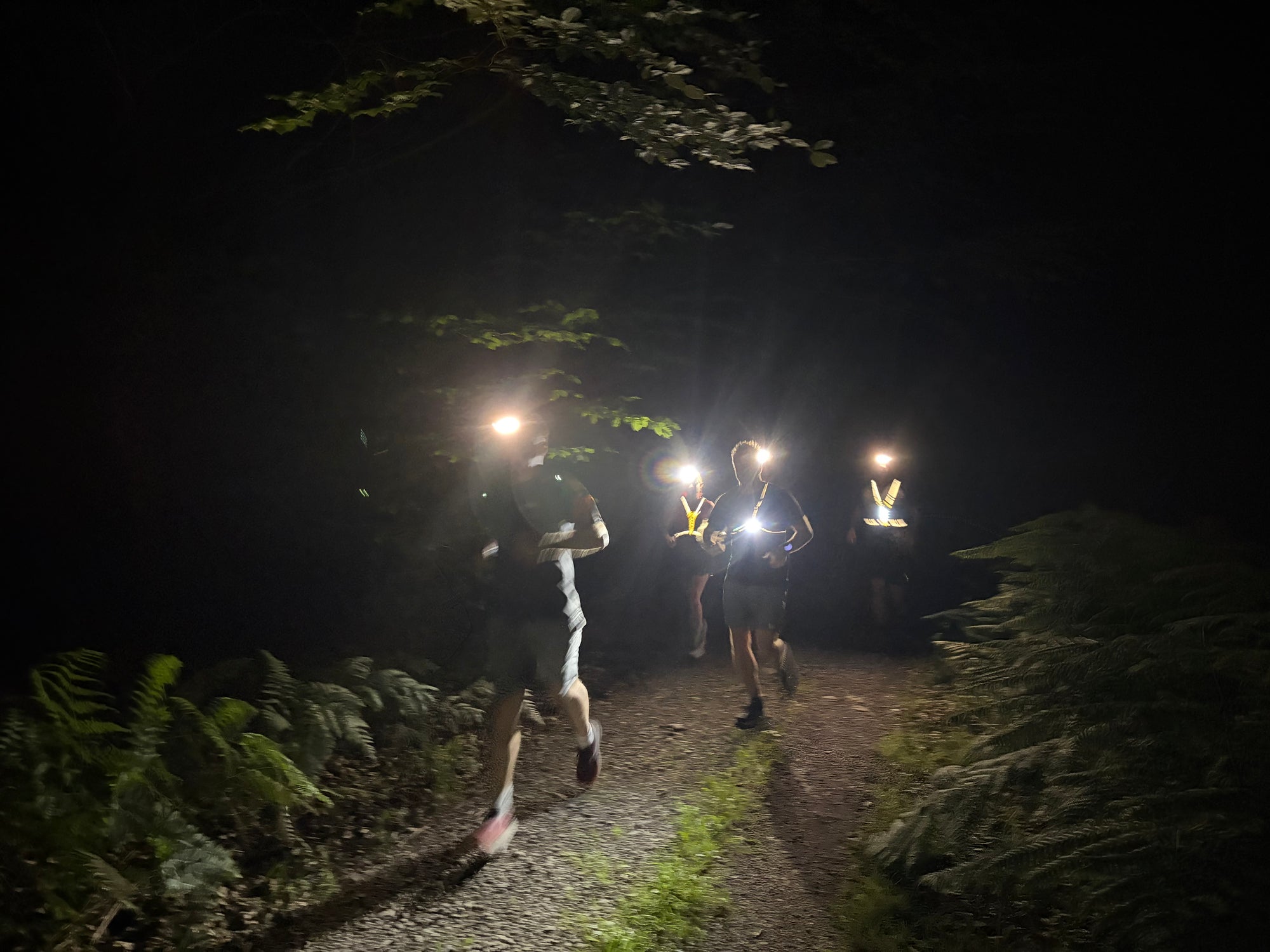 Night Trail Group Clinic