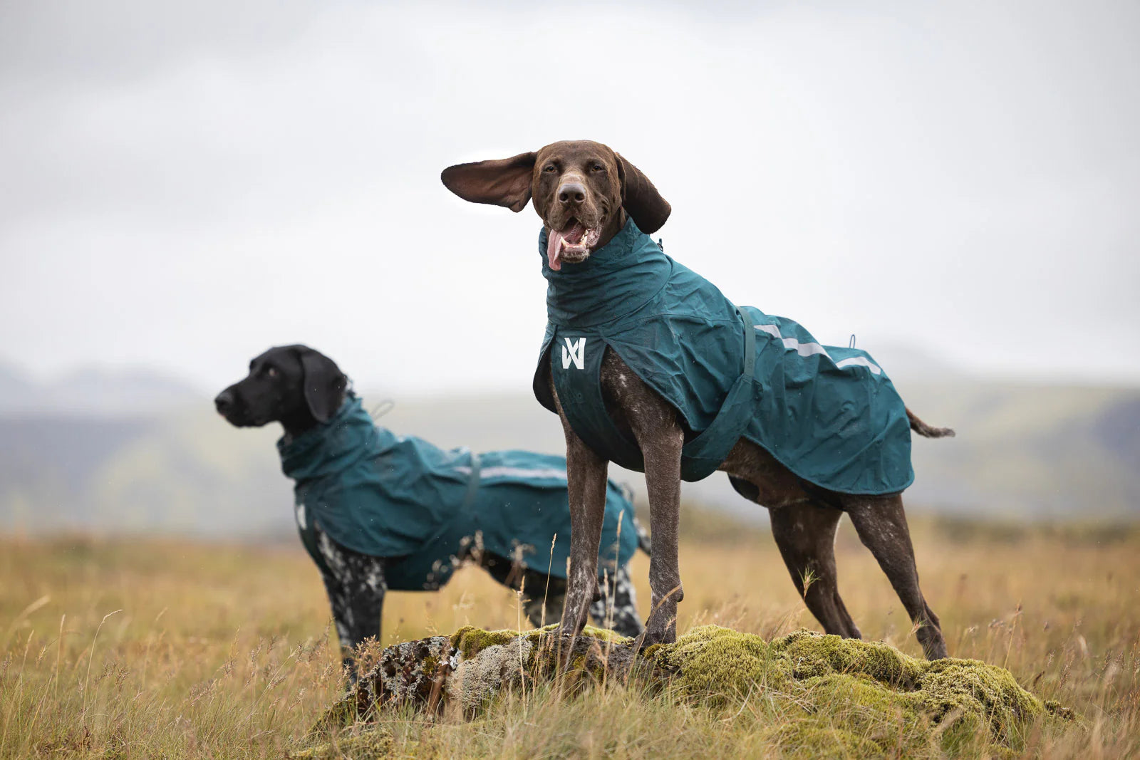 Non-Stop Dogwear - Fjord lined raincoat