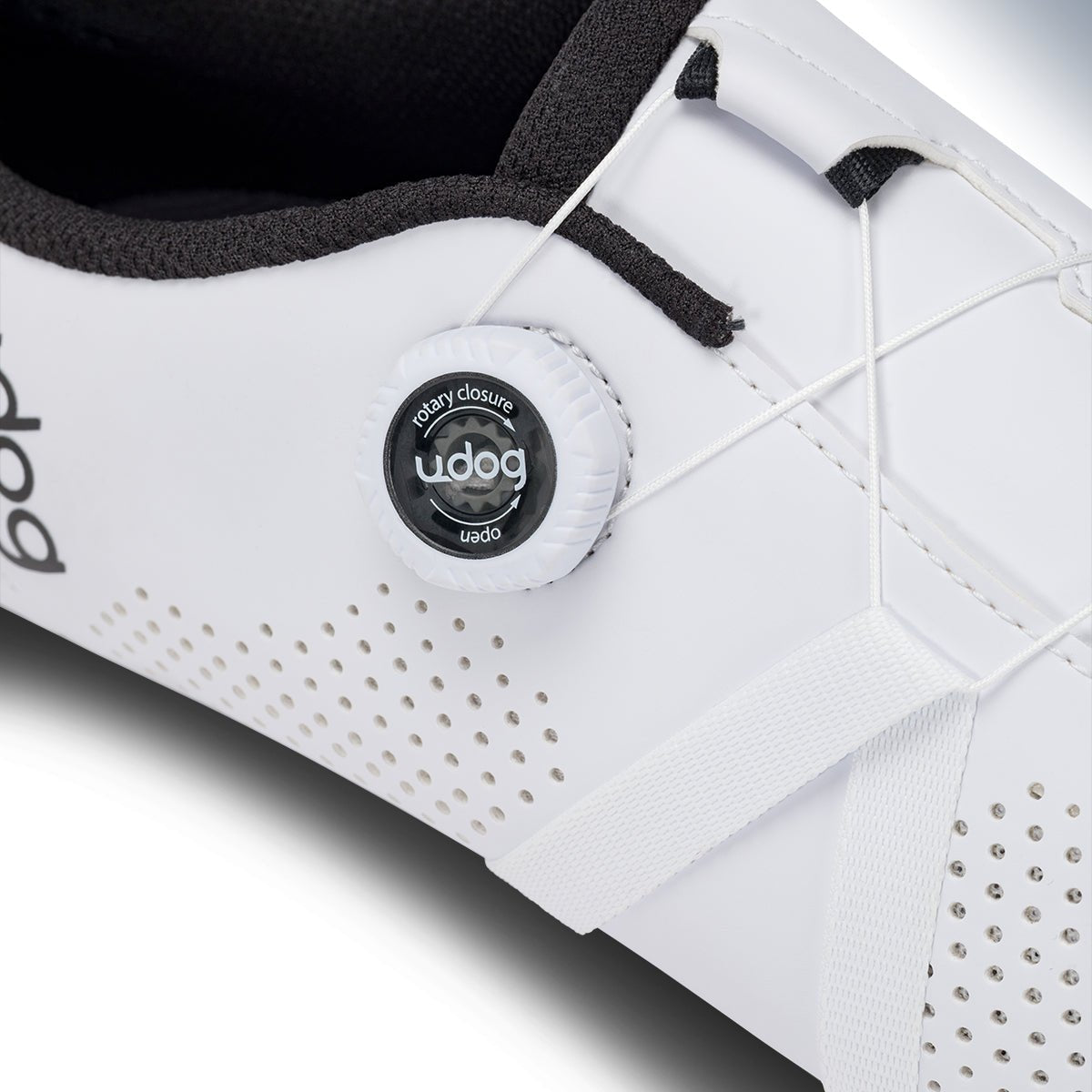 Udog Sempre (Pre-Order)